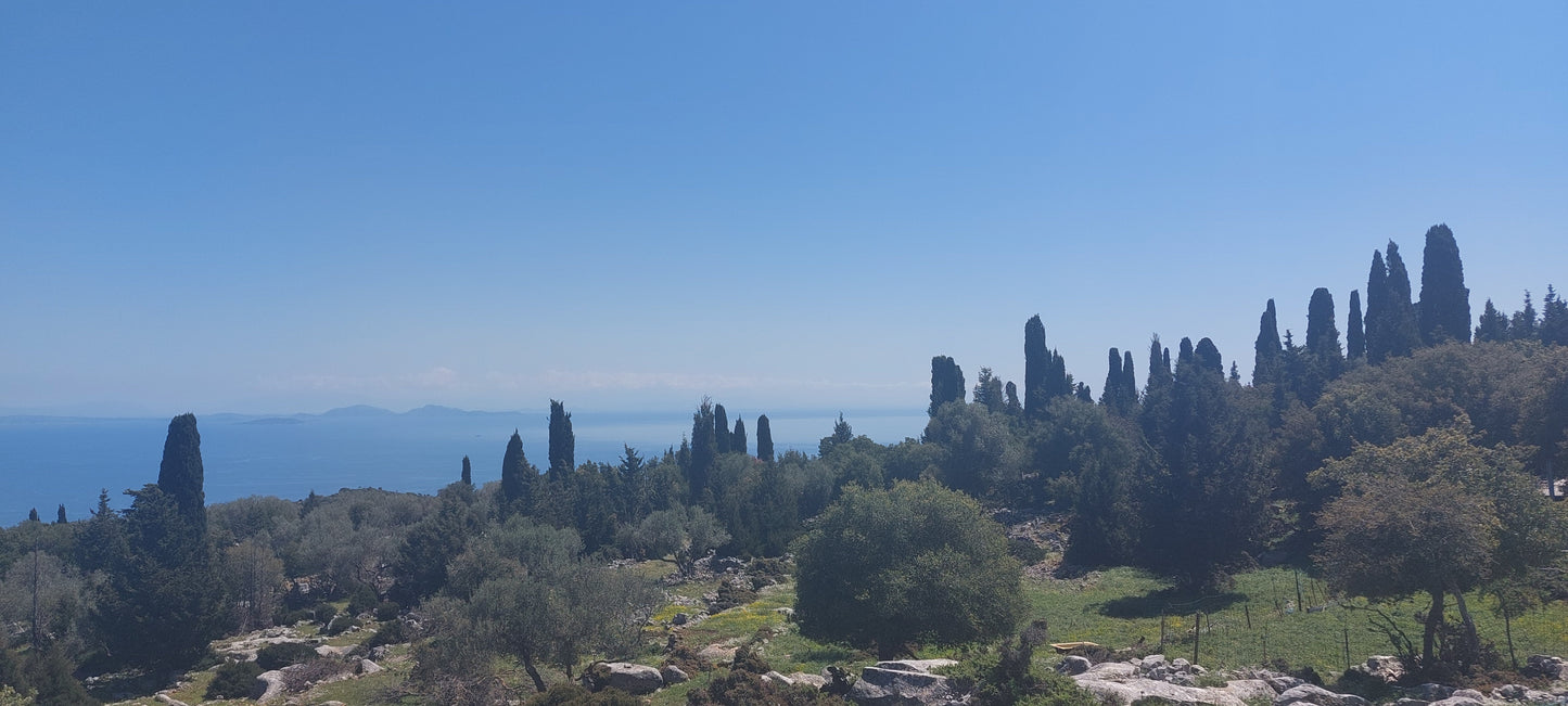 Being Part of a Myth - Flower of Odysseus