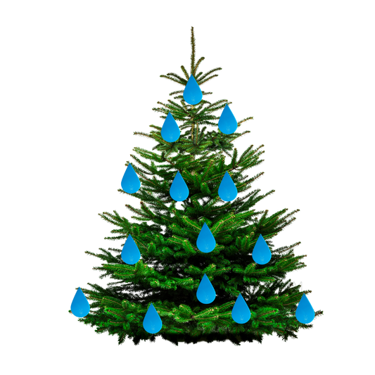 Kwetsbaarheid tonen - Ultieme Charm 'De Traan' - Deluxe