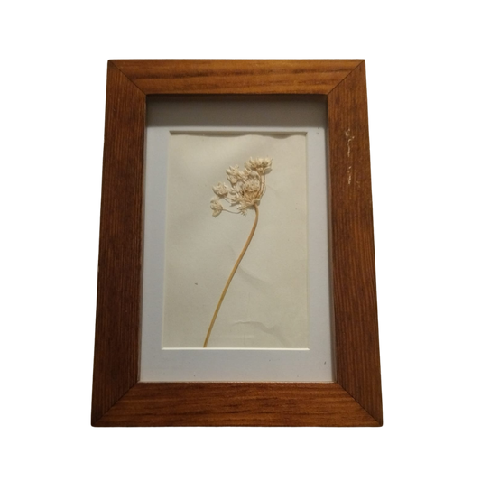 Onderdeel zijn van een Mythe - Bloem van Odysseus