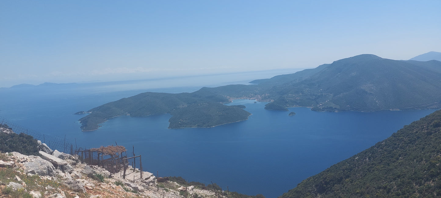 Ser parte de un mito - La flor de Odiseo 