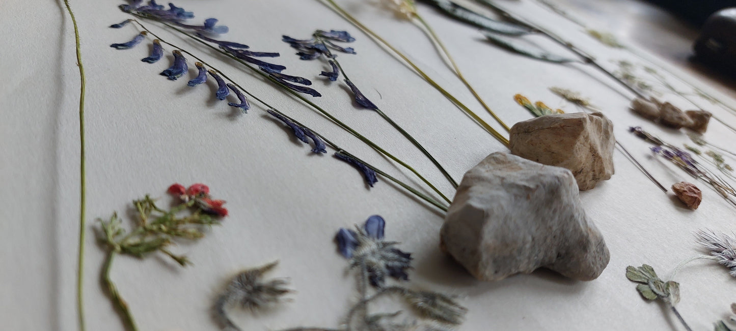 Ser parte de un mito - La flor de Odiseo 