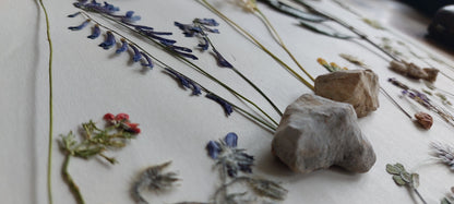 Ser parte de un mito - La flor de Odiseo 