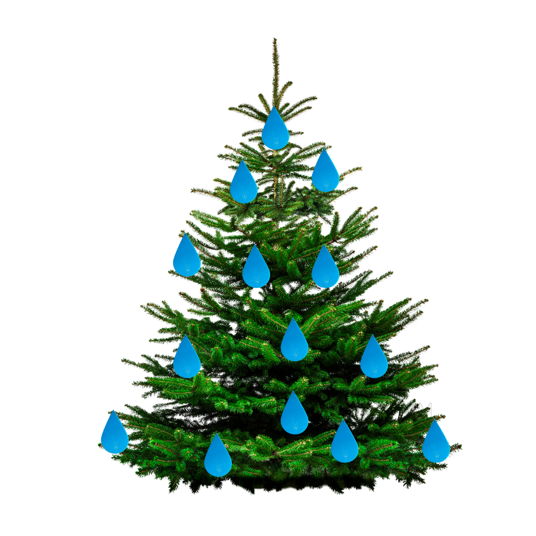 Kwetsbaarheid tonen - Ultieme Charm 'De Traan' - Deluxe