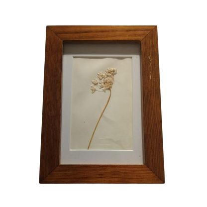 Ser parte de un mito - La flor de Odiseo 