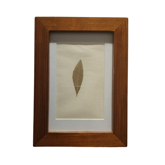 Onderdeel zijn van een Mythe - Bloem van Odysseus